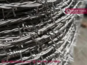 China Double Twist Barbed Wire | 12X14# Galvanised Barbed Wire on sale