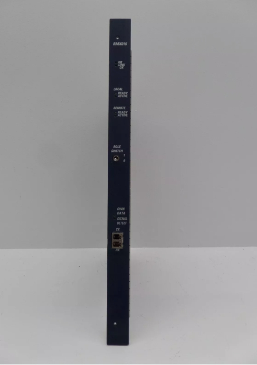 IC698RMX016 GE Redundant Memory Exchange Module