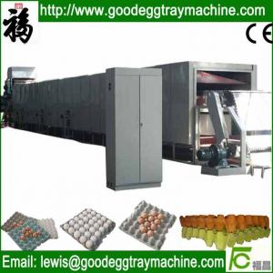 China Paper product forming machine chicken eggs box machine factory