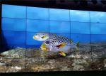 55 Inch LCD Video Wall Aquarium Exhibition Brief Introduction Showing