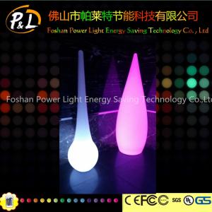 China Home Lighting Rechargeable RGB LED Decorative Floor Lamp on sale