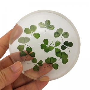 China Artificial Transparent Flower Paperweight With Fragments / Chippings factory