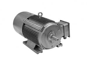China IP55 Ultra High Efficiency Electric Motor , YE4 Series 3 Phase Induction Motor on sale