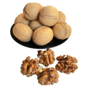 Chinese Factory bulk sale high-quality Xinjiang big walnuts in shelled and dried