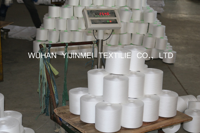 Ring Spinning 100 Polyester Sewing Thread Yarn 30/2 On Plastic Dyeing Cones