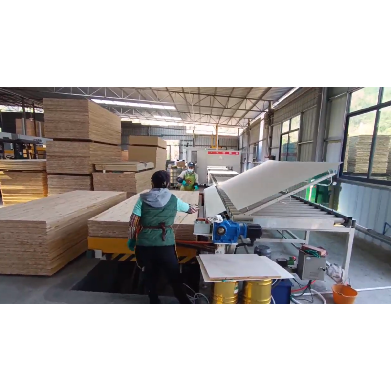 Custom Fully Automatic Production Line 1300mm SPC Panel Laminating Press Machine