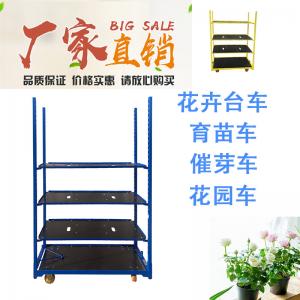 China Spray Plywood Float Dutch Flower Trolley Cold Galvanized Color Optional factory