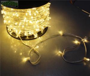 China Christmas 100m 666leds 12V LED Clip Lights warm white 5mm party led christmas light string factory