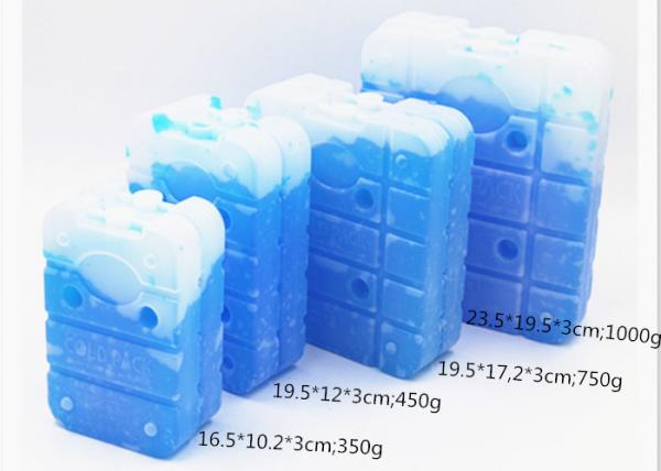 China Energy Saving Cold Gel Packs Ice Cooler Brick Ice Packs For Food Shipping factory