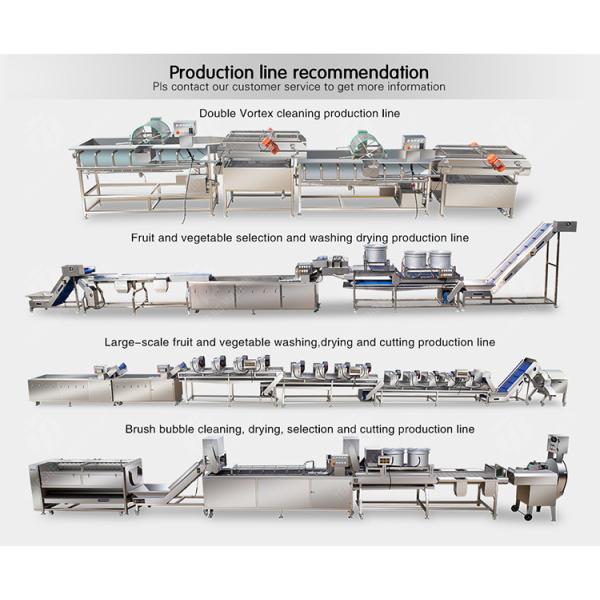 Customized Driven Pesticide Exclude Vegetable Processing Line , Centrifuging Tomato Processing Line