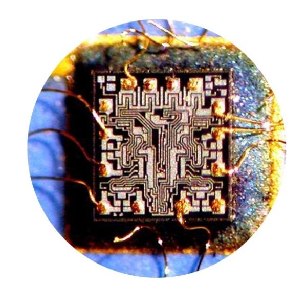 LED 0.5X C-mount Stereo Zoom Microscope NCS-400 Diopter adjustable Eyepiece