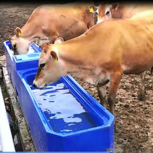 China Blue Color LLDPE Livestock Water Tank Length 4m Animal Water Trough factory