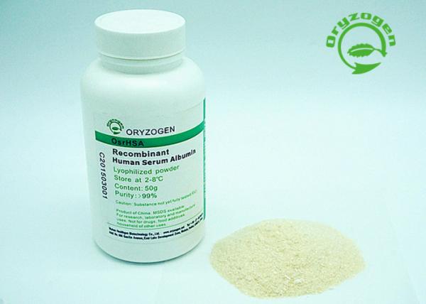 China Strict quality control Recombinant Serum Albumin Light Beige Lyophilized Powder factory