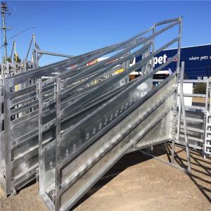 China 3.2 M Fixed Cattle Loading Ramp Portable Cattle Loading Ramp For Sheep Goats Cattle factory