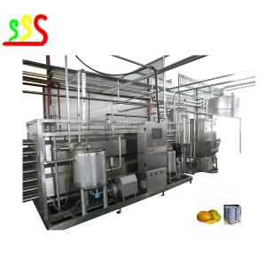 China Commercial Automatic Fruit Mango Pulp Making Machine 5t/Day factory