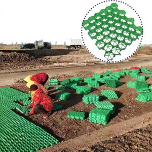 China Onsite Installation HDPE Plastic Green Grass Grid Parking Paver for Parking Lots factory