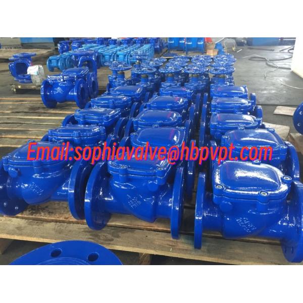 EPDM resilient seal British standard flanged check valve