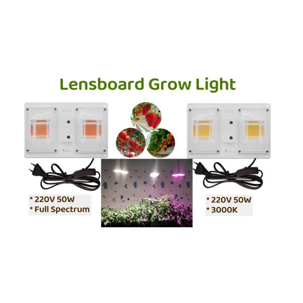 Waterproof LED Light Bar Module With 50000h Lifespan 1200 LM Luminous Flux