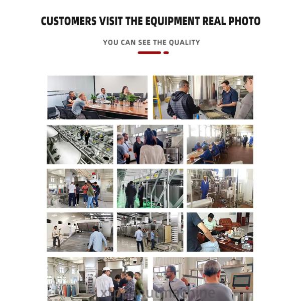 SUS304 Z Type Elevator Conveyor 1000kg/h for Peanut Processing