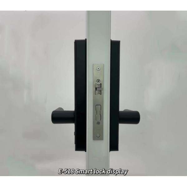 High Security Standard Electronic Electric Tuya App Smart Lock Digital Automatic Biometric Fingerprint Door Lock ForHome
