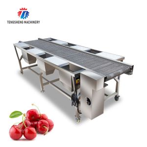 China Customized Vegetable Processing Machine Fruit Sorting Table factory