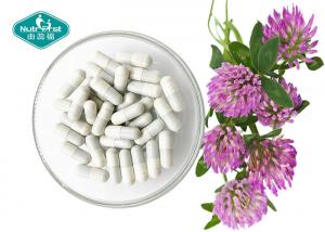 China Red Clover Extract ( Trifolium Pratense ) Capsules for Menopause Support factory