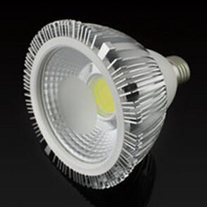 China 15W/18W PAR30/38 COB LED par30 light on sale