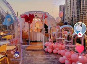 China Large Ceremony Party Bubble Tent Decoration Polycarbonate Dome House factory