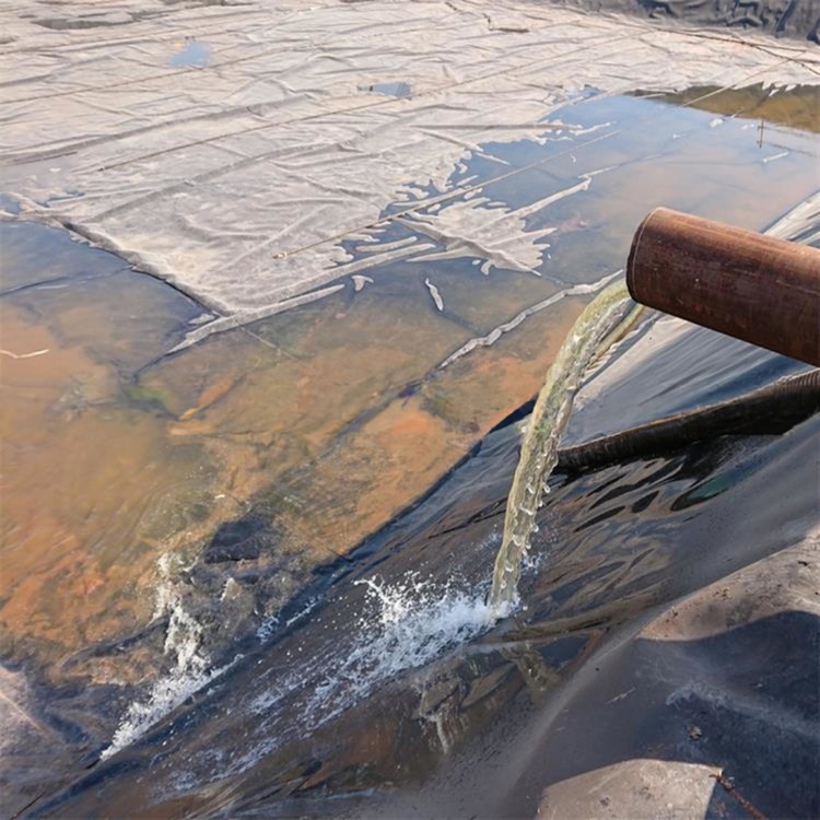 HDPE Geomembrane Dam Liner for Total Solution Projects Online Technical Support