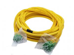 China 48 Cores G657A1 Fiber Optic Jumper Distribution Patch Cord Single Mode on sale