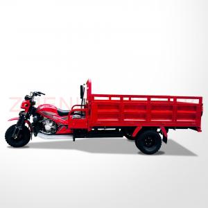 China 12V Voltage Cargo Adult Tricycle Motorized Three Wheel Cargo Motorcycle With Cargo Roof on sale