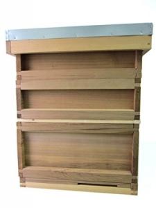 China China Custimized Red Cedar British Beehive UK Bee Box with National Pine Wood Bee Hive Frames factory