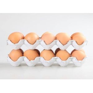 Environment Friendly Paper Pulp Molding Machine Controlled By Computer