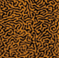 Multi Functional AFM Atomic Force Microscopy Precise Biology Microscope