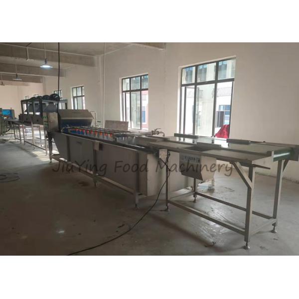 Air Bubble Type Vegetable Fruit Washing Machine 1.5T/H With Spraying Nozzels