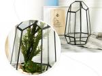 Micro Landscape House Glass Plant Terrarium For Plants Flower Household