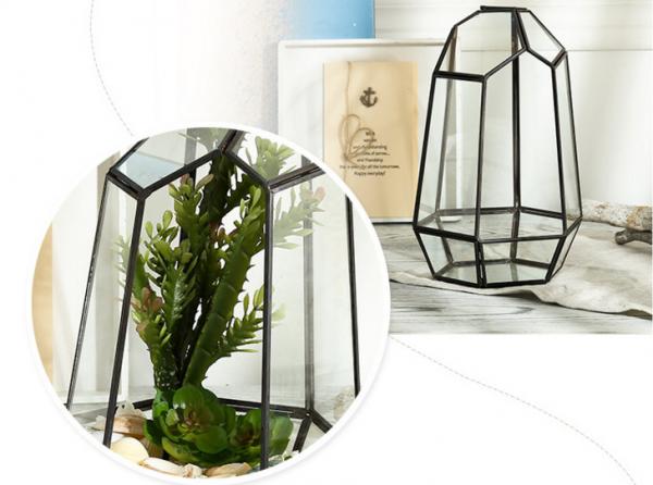 China Micro Landscape House Glass Plant Terrarium For Plants Flower Household factory