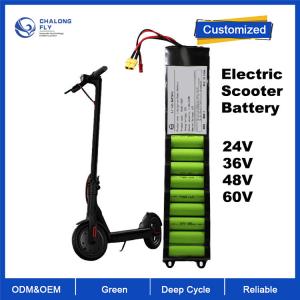 China OEM ODM LiFePO4 lithium battery pack Electric Scooter battery 24V 36V 48V for Electric Bicycles/Scooter factory