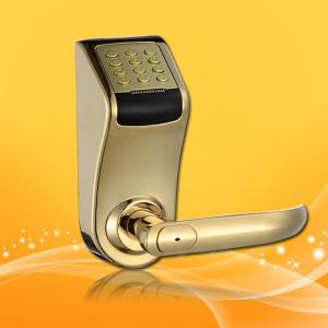 China Password Door Lock Low Voltage Warning with Mechanical Key and Electronic Deadbolt factory