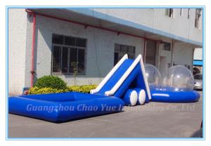 China Large Inflatable Water Slide with Pool for Commercial Use (CY-M2139) factory