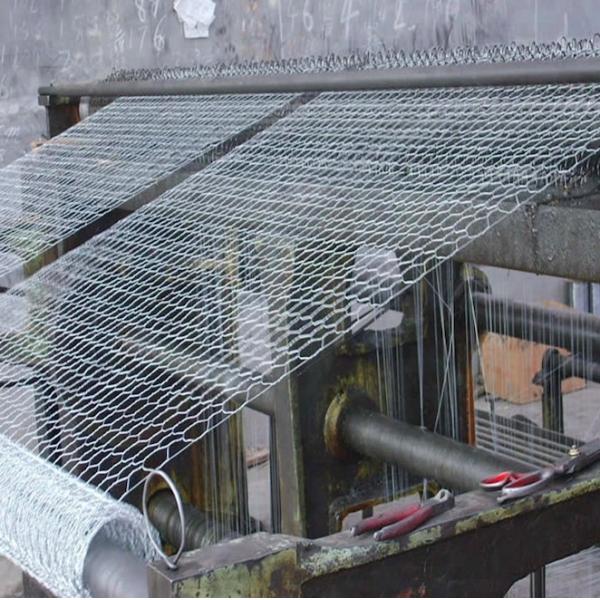 1.5 inch Hexagonal Wire Mesh 3 ft X 50 ft Galvanized Poultry Netting Fence 19 Gauge