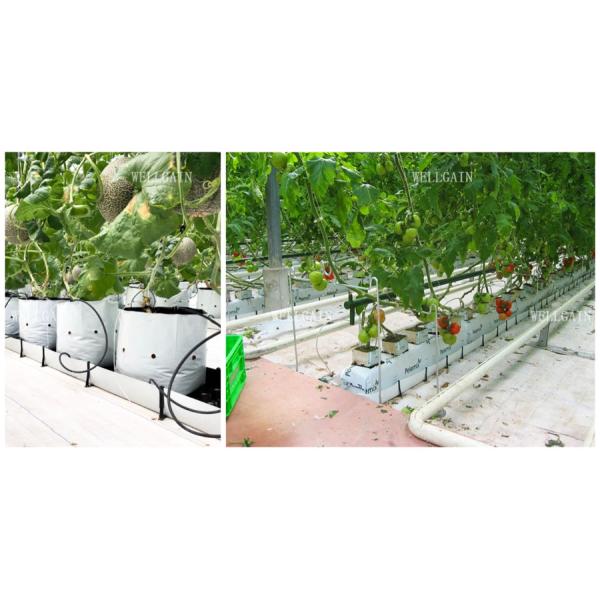 Rectangular Hydroponic Soilless Growing Trough PP Roll Drainage Gutter System Planting