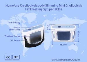 China Portable Cryolipolysis Slimming Machine Mini Body Slimming Sculpting Fat Loss Device factory