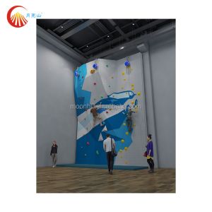 Buy cheap Easy To Install Indoor Climbing Wall Anti Weather For Communities University from wholesalers