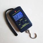ABS Plastic Digital Hanging Scale With Multifunctional Net Weighing Function