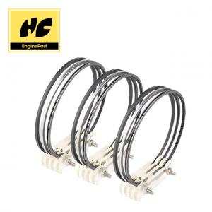 China Nissan Genuine Engine Piston Ring For FD6 FE6 12040 - Z5028 12 Months Warranty factory