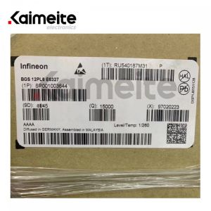 China BGS12PL6 E6327 factory