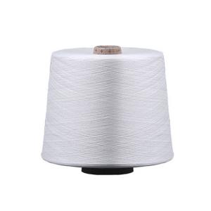 China 303 Sewing Machine Edging Thread Garment Polyester Lockstitch Large Roll Color factory