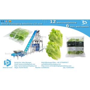 China Leafy greens salad 100g pouch automatic weighing and packing machine on sale