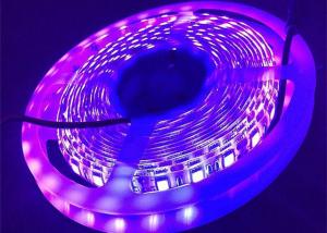 China Purple UV 12v 24v Purple Led Light Strip 395nm UV Led Tape 5050 Smd factory